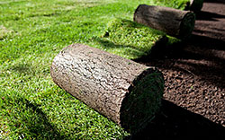 Lawns & Artificial Turf